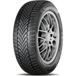 205/60R16 92H EUROWINTER HS02