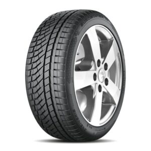 225/50R17 98V XL EUROWINTER HS02PRO